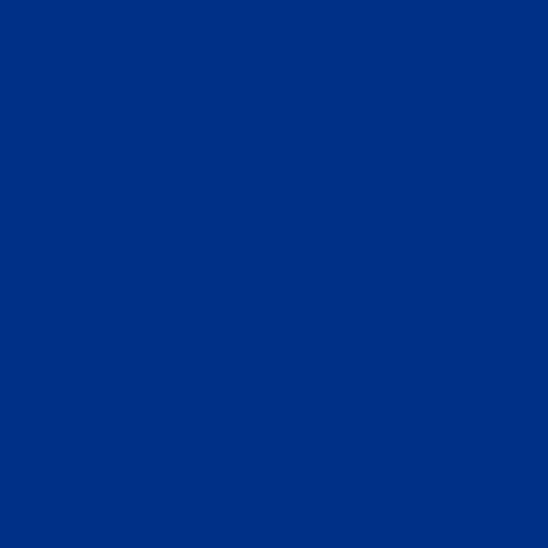 Custom-made-PC-festival-zonnebril-Mat-bedrukken-blauw