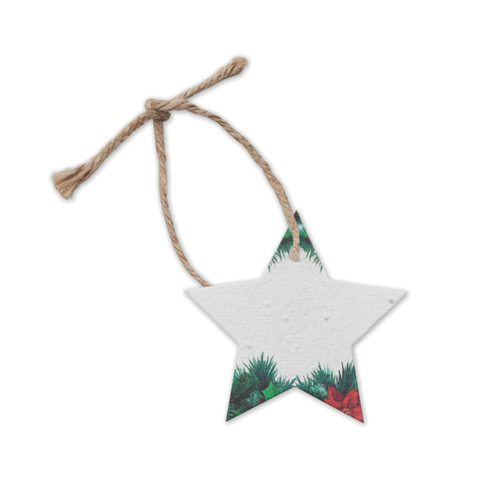 Kerst-ornament-Bloemenzaadpapier-Kerstster-bedrukken-wit
